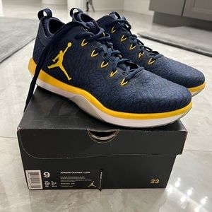 Michigan Jordan trainer 1 low size 9